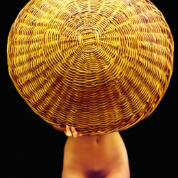 A. Hecht