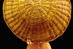 A. Hecht
