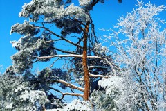 Winterimpressionen