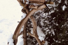 Winterimpressionen