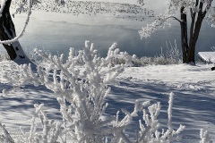 Winterimpressionen