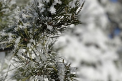 Winterimpressionen