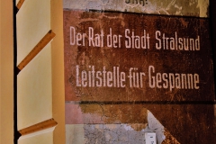 Zahn der Zeit