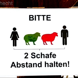 A. Hecht