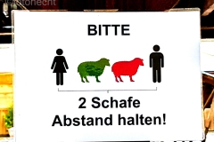 A. Hecht