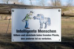 S. Werner