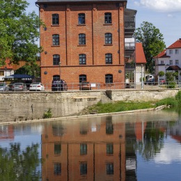D. Dchmidt