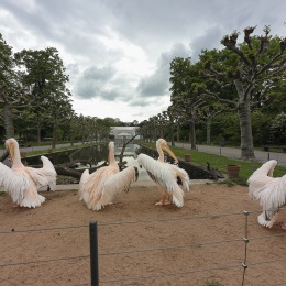 Wilhelma Stuttgart