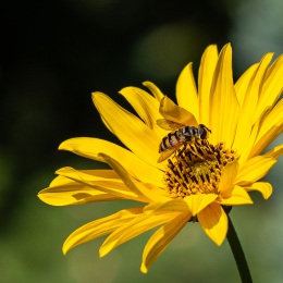 08