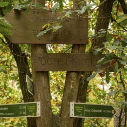 S. Werner